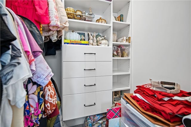 view of walk in closet