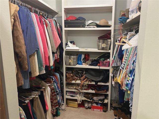 walk in closet with carpet floors