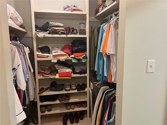 view of walk in closet