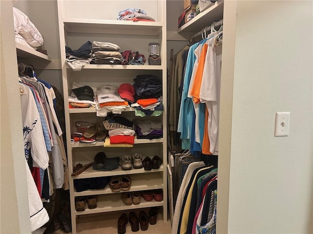 view of spacious closet