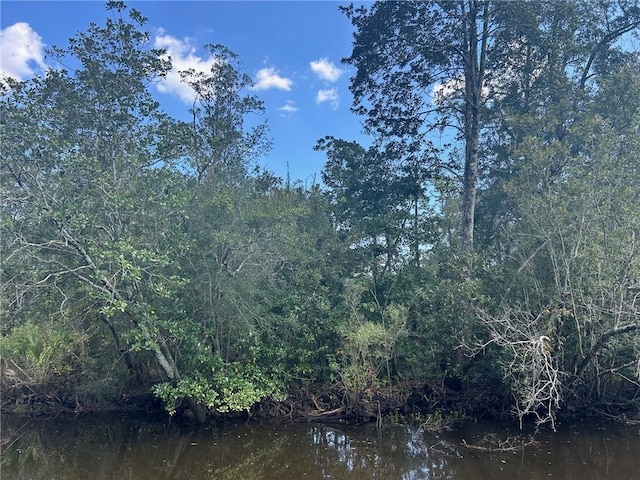 view of nature featuring a forest view