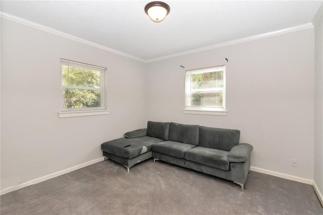 living room featuring baseboards, carpet floors, and crown molding