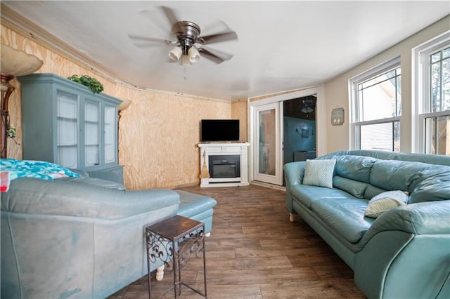 living room featuring ceiling fan and dark wood-type flooring