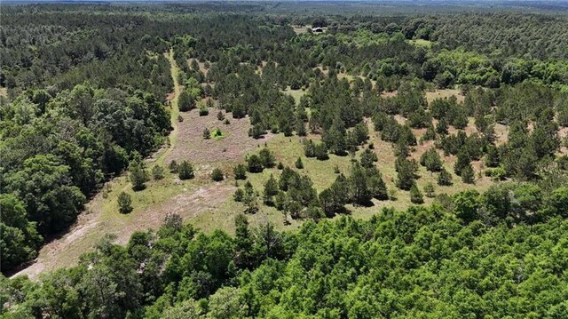 0 John Kelly Rd, Chunchula, AL 36521