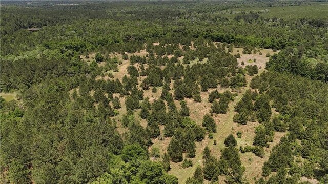 0 John Kelly Rd, Chunchula, AL 36521