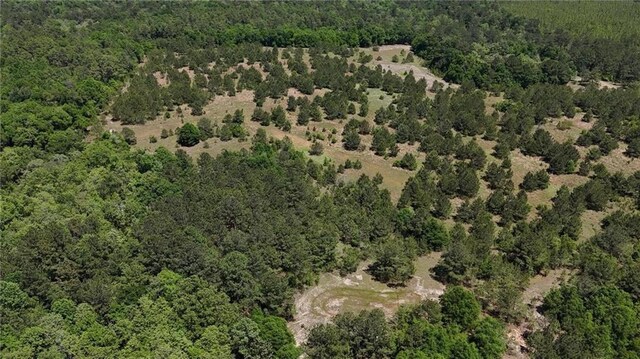 0 John Kelly Rd, Chunchula, AL 36521