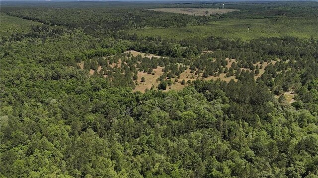 0 John Kelly Rd, Chunchula, AL 36521