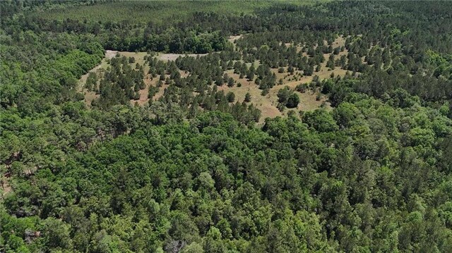 0 John Kelly Rd, Chunchula, AL 36521