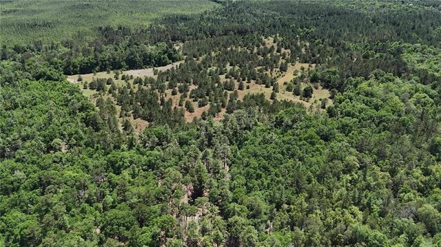 0 John Kelly Rd, Chunchula, AL 36521
