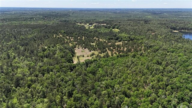 0 John Kelly Rd, Chunchula, AL 36521