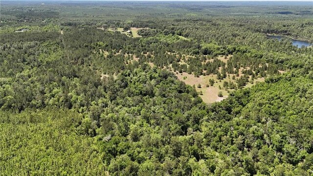 0 John Kelly Rd, Chunchula, AL 36521