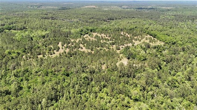 0 John Kelly Rd, Chunchula, AL 36521