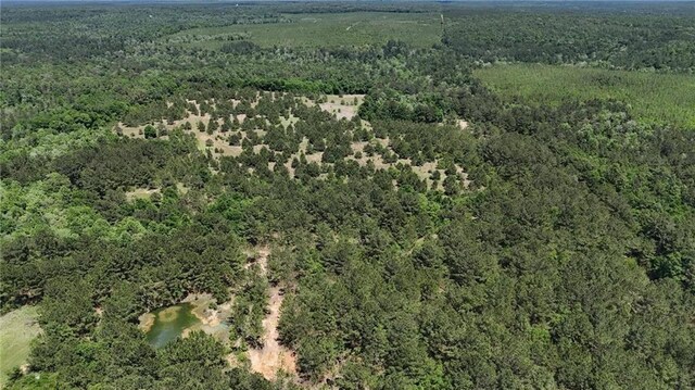 0 John Kelly Rd, Chunchula, AL 36521