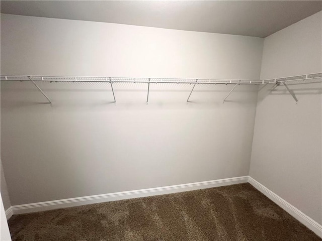 walk in closet featuring dark colored carpet