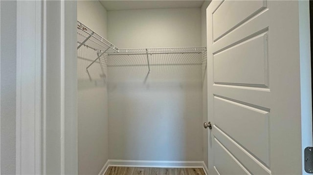 walk in closet featuring wood-type flooring