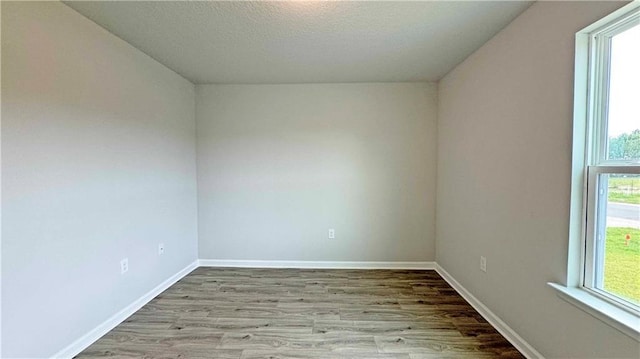 unfurnished room with light hardwood / wood-style floors and a healthy amount of sunlight