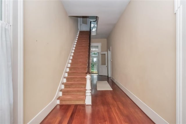 stairs with wood-type flooring