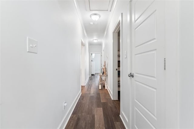 hall with dark hardwood / wood-style floors