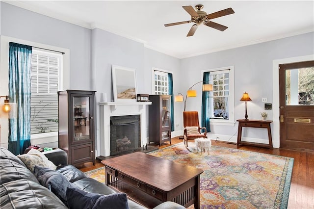 living room with crown molding, a fireplace with raised hearth, a wealth of natural light, and wood finished floors