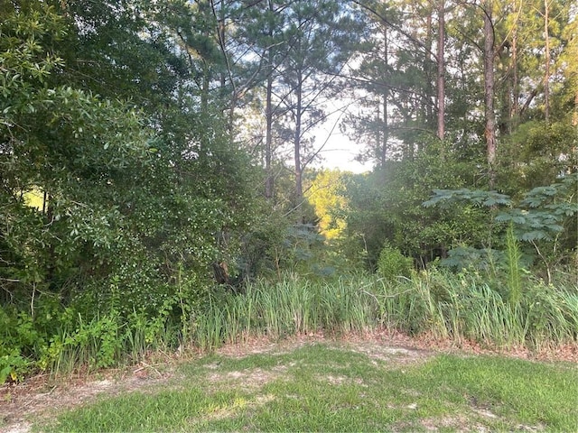 0 Red Maple Dr, Mobile AL, 36618 land for sale