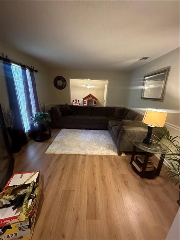 living room featuring wood-type flooring