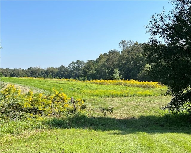 exterior space with a rural view