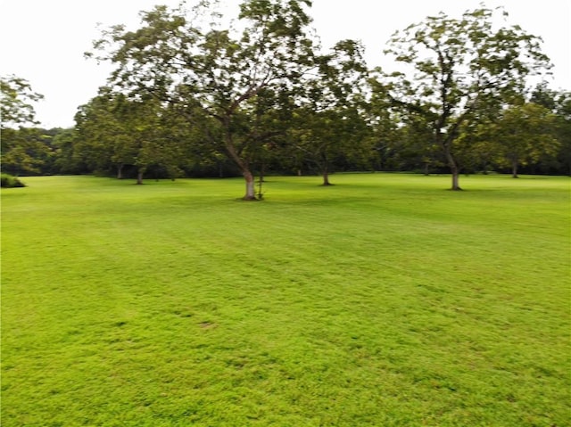 view of community featuring a lawn