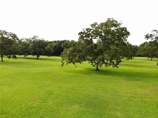 view of property's community with a yard