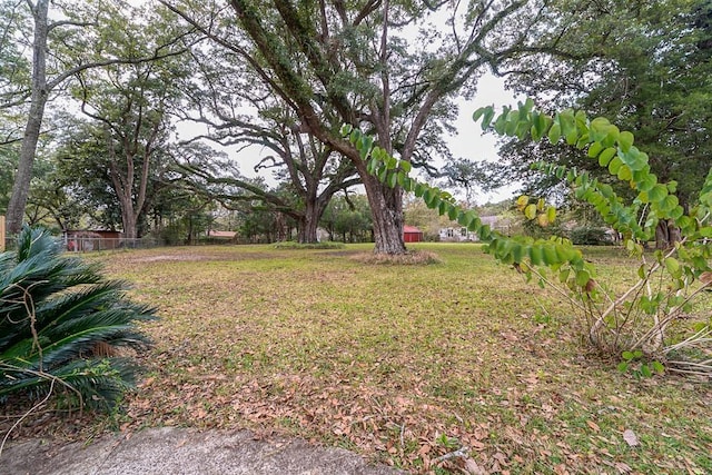 7520 Oak Dr W, Theodore, AL 36582 - view of yard