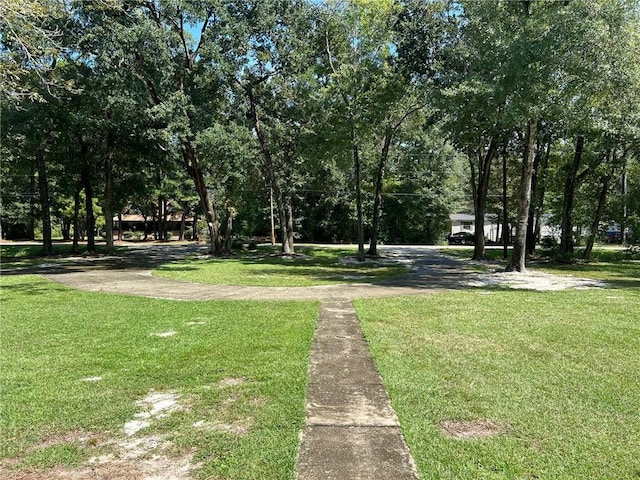 view of home's community featuring a lawn