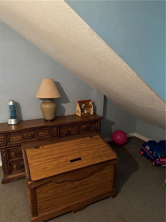 interior space featuring carpet and a textured ceiling