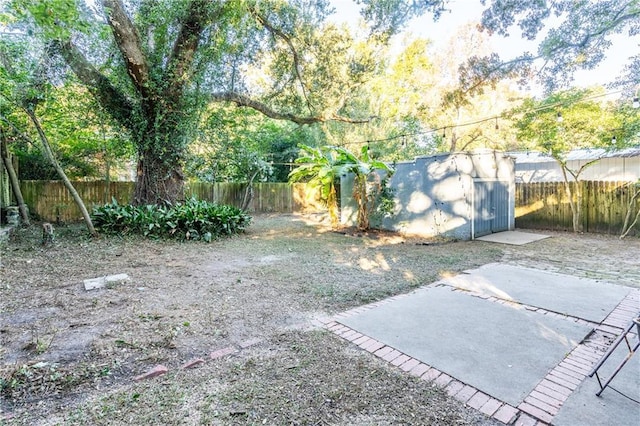 view of yard with a patio area