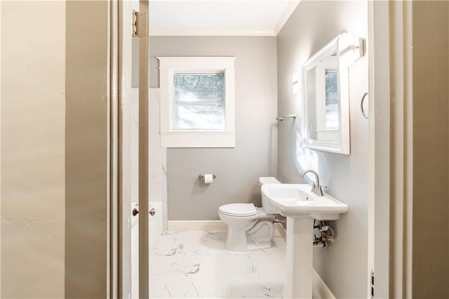 bathroom featuring toilet and crown molding