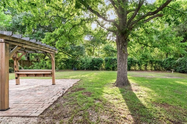 view of green lawn featuring a patio and view of scattered trees