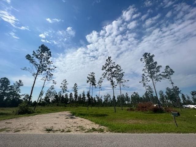 24712 Linholm Rd, Robertsdale AL, 36567 land for sale