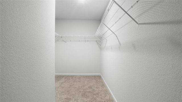 10471 Lowell St W, Mobile, AL 36695 - spacious closet with carpet flooring