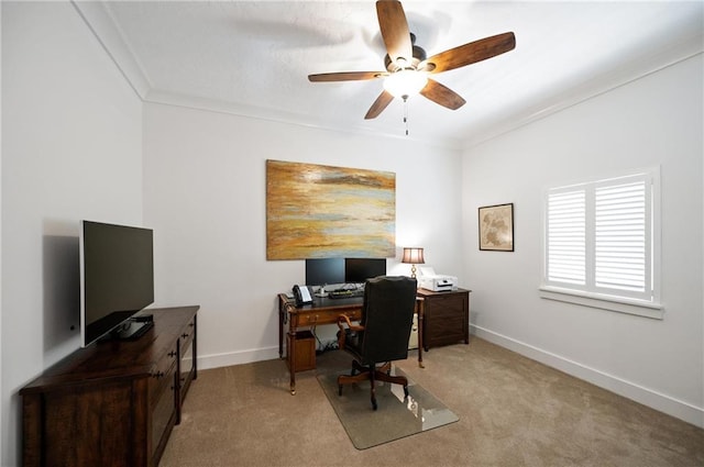 carpeted office with ceiling fan and ornamental molding