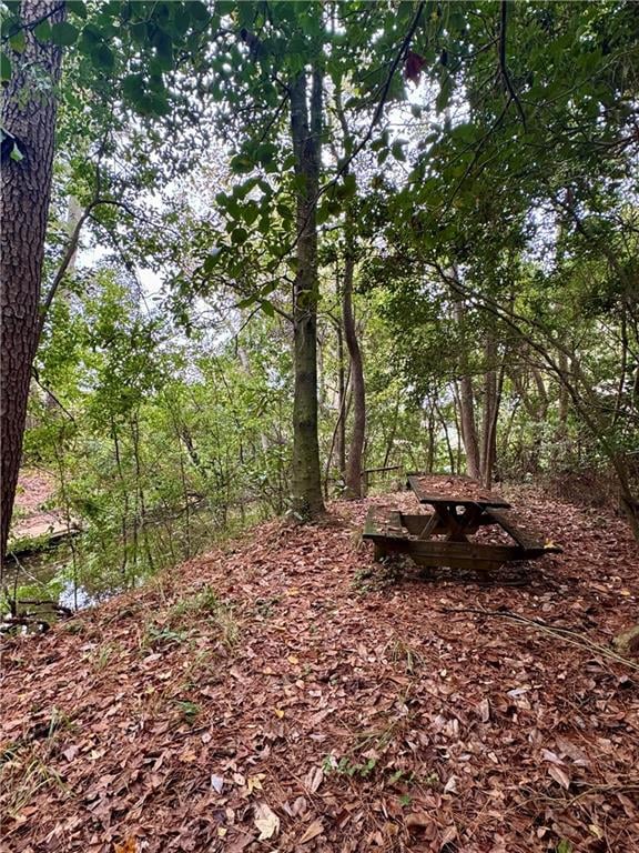 view of local wilderness