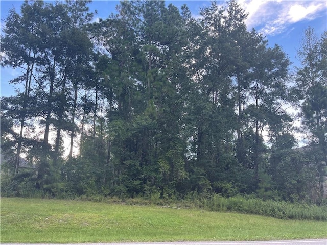 5489 Rabbit Creek Dr, Theodore AL, 36582 land for sale