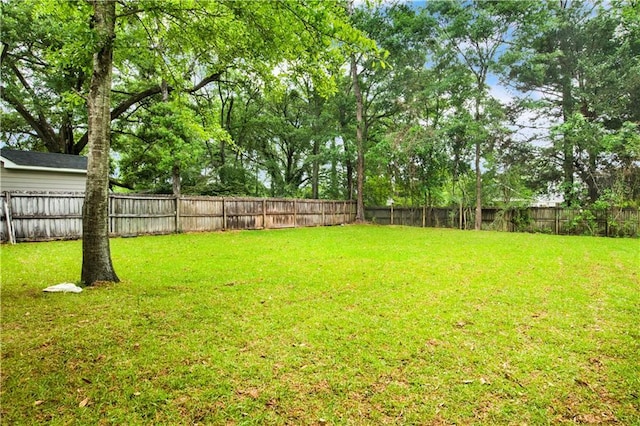 view of yard