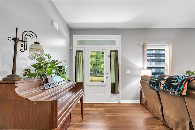 8255A Dixon Rd, Bay Minette, AL 36507 - entryway featuring wood finished floors, plenty of natural light, and baseboards