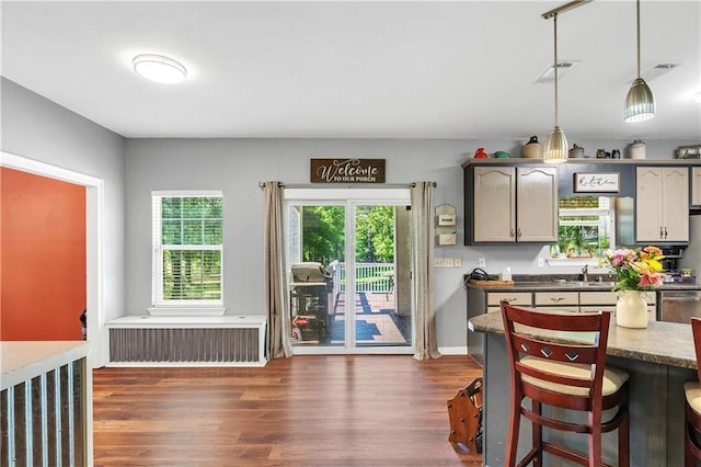 8255A Dixon Rd, Bay Minette, AL 36507 - kitchen featuring radiator, dark wood-style floors, and healthy amount of natural light