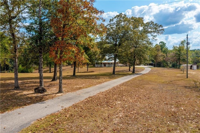 9075 Hamm Cir, Wilmer, AL 36587 - view of community with a yard