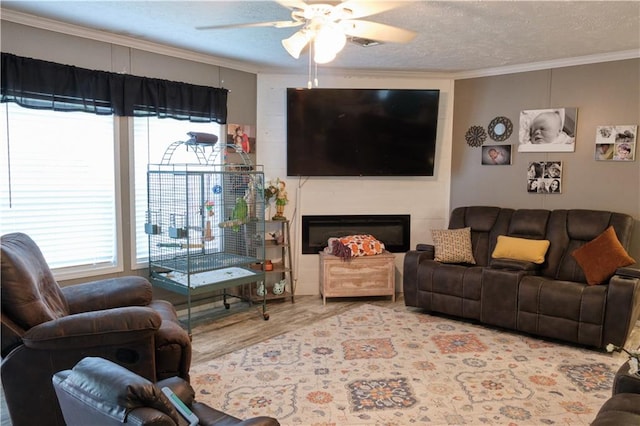 living room featuring ornamental molding, a textured ceiling, ceiling fan, and light wood-type flooring