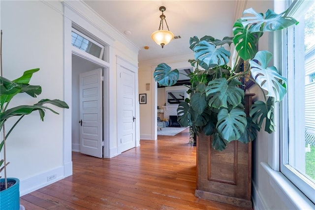 7 Reed Ave N, Mobile, AL 36604 - entrance foyer featuring wood-type flooring, ornamental molding, and baseboards