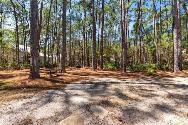 901 La Mothe Pl, Dauphin Island, AL 36528 - view of yard