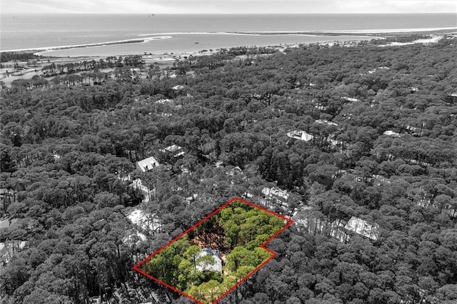 901 La Mothe Pl, Dauphin Island, AL 36528 - birds eye view of property featuring a wooded view
