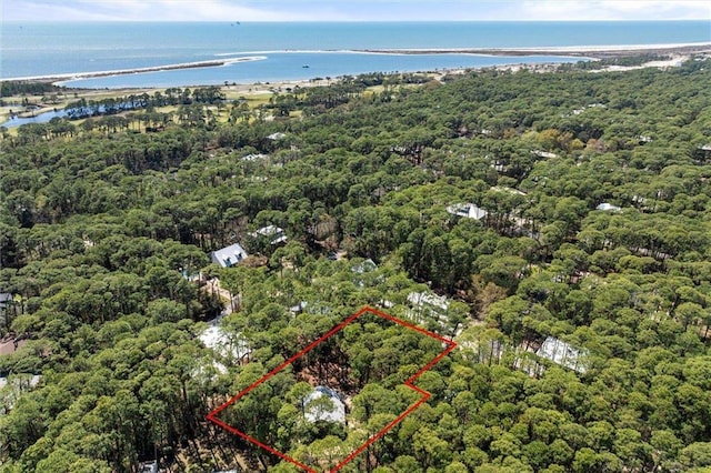 901 La Mothe Pl, Dauphin Island, AL 36528 - birds eye view of property with a view of trees and a water view
