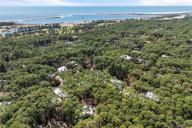 901 La Mothe Pl, Dauphin Island, AL 36528 - aerial view featuring a view of trees and a water view