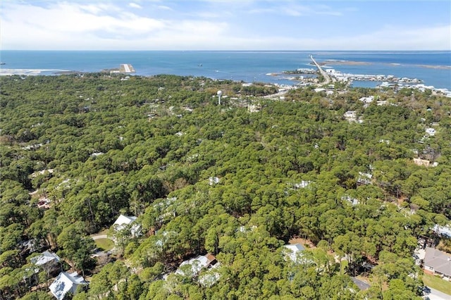 901 La Mothe Pl, Dauphin Island, AL 36528 - bird's eye view with a wooded view and a water view